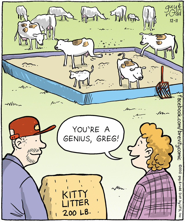 brevity
